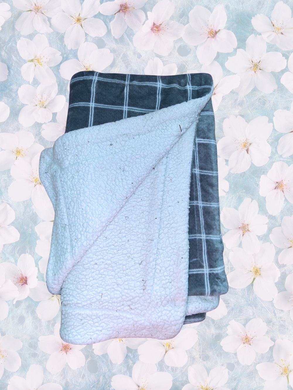 Blanket